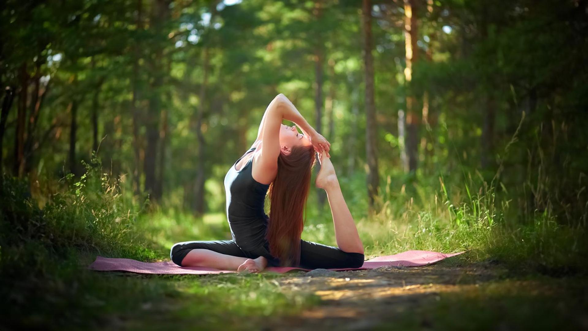 Northumberland Heights Wellness Retreat &